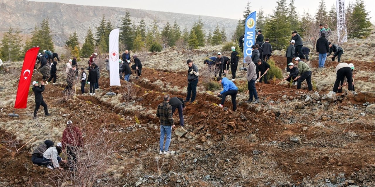 Konya'da 10 bin fidan toprakla buluşturuldu