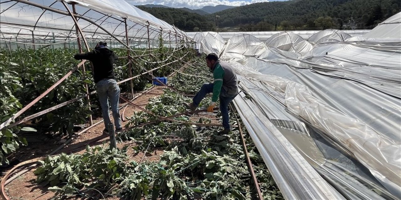 Hortum seralara zarar verdi