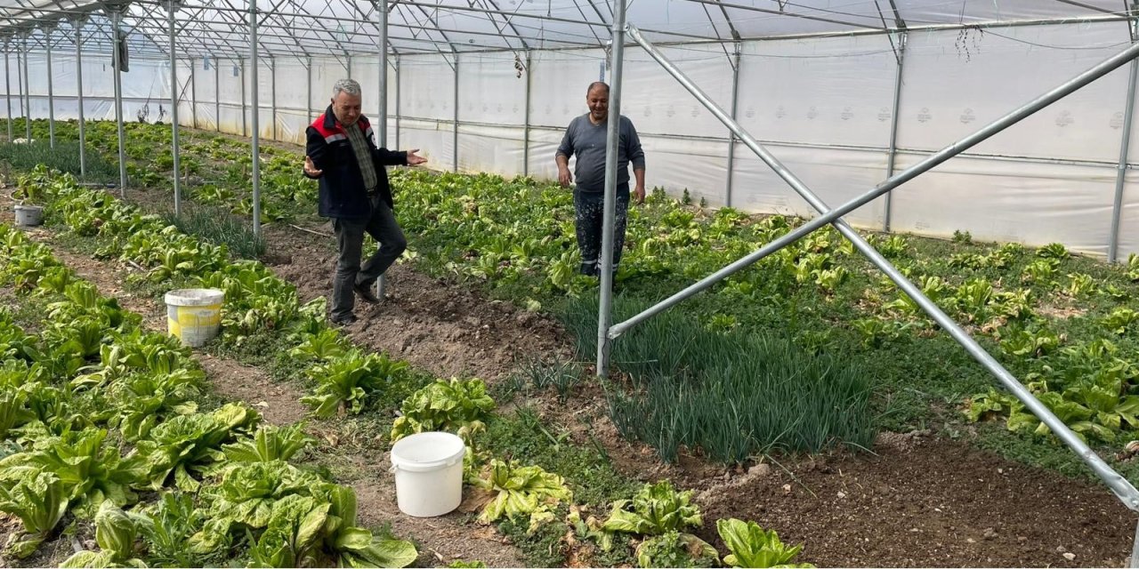 Konya'da tarım arazileri kontrol ediliyor