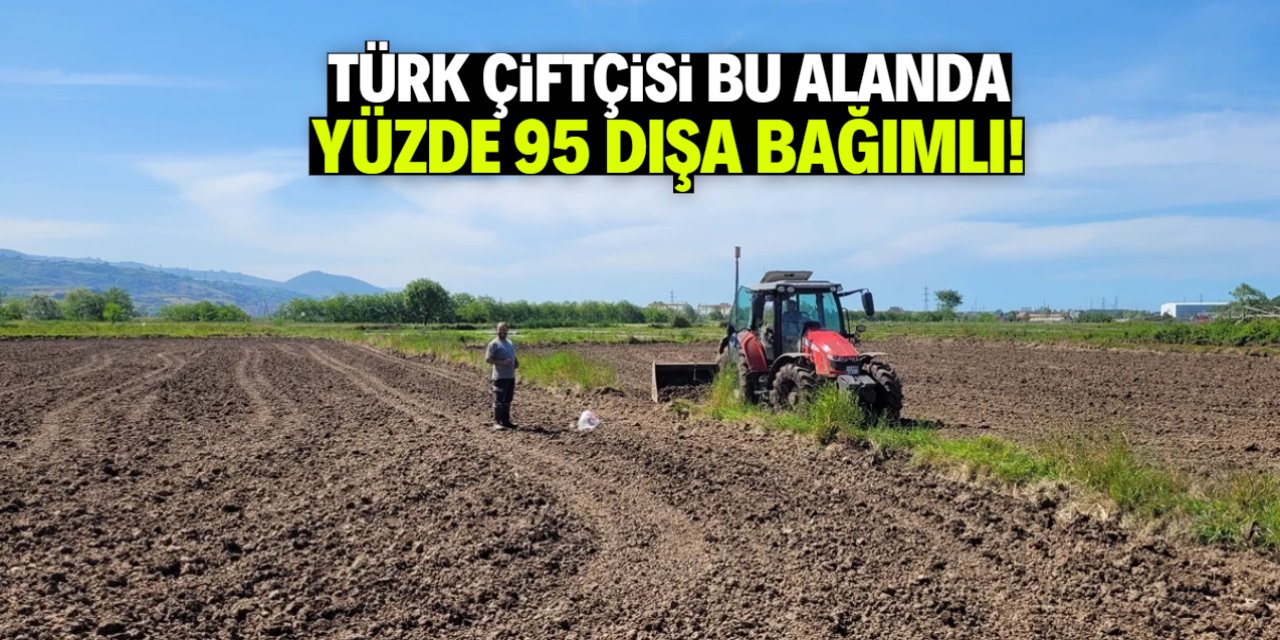 Türk çiftçisi yüzde 95 dışa bağımlı! O alanda sorun büyük