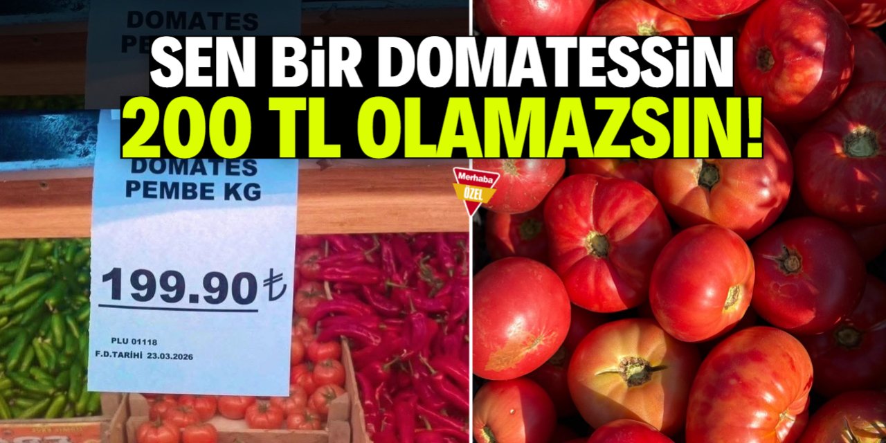 Konya'da 1 kilogram domates 200 TL!