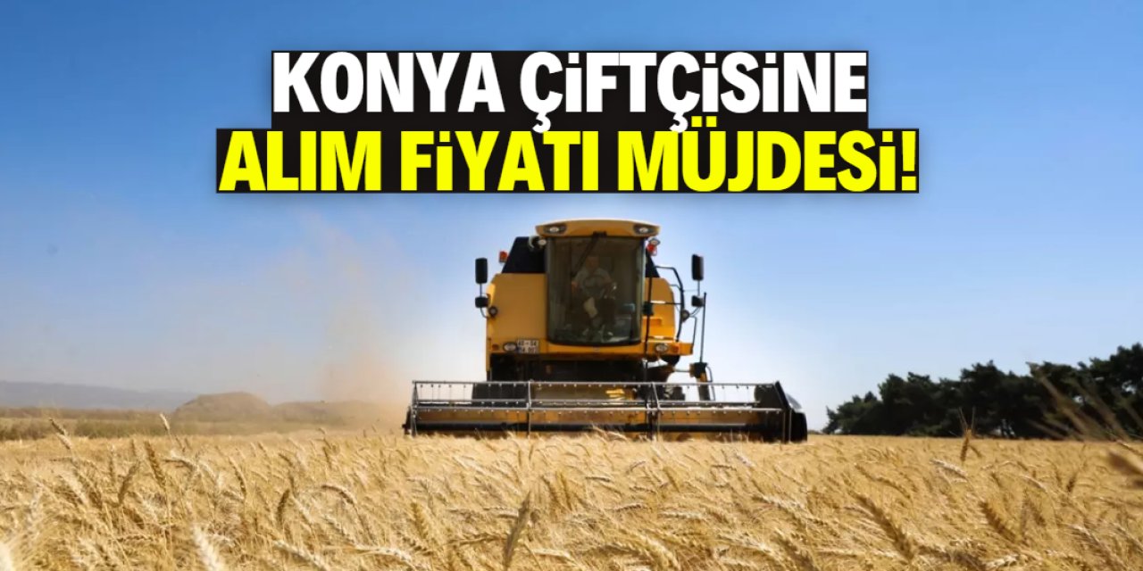 Konya çiftçisine alım fiyatı müjdesi! Bakan Yumaklı yapılacakları açıkladı
