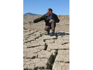 'Su Tarifelerinde 2014’e Özgü Geçici Fiyat Politikası Uygulansın'