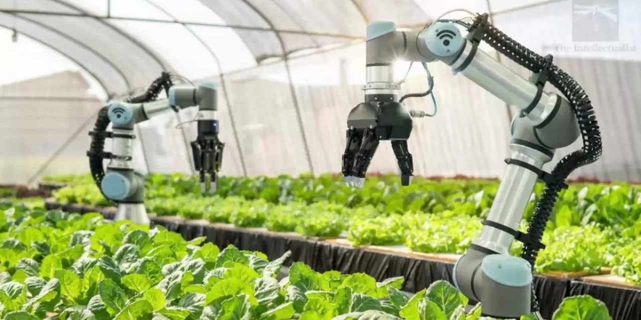 YÖK 'tarımsal teknoloji' alanında yeni programlar açacak