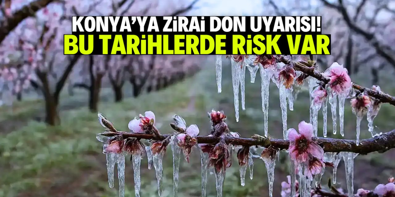 Konya'ya zirai don uyarısı