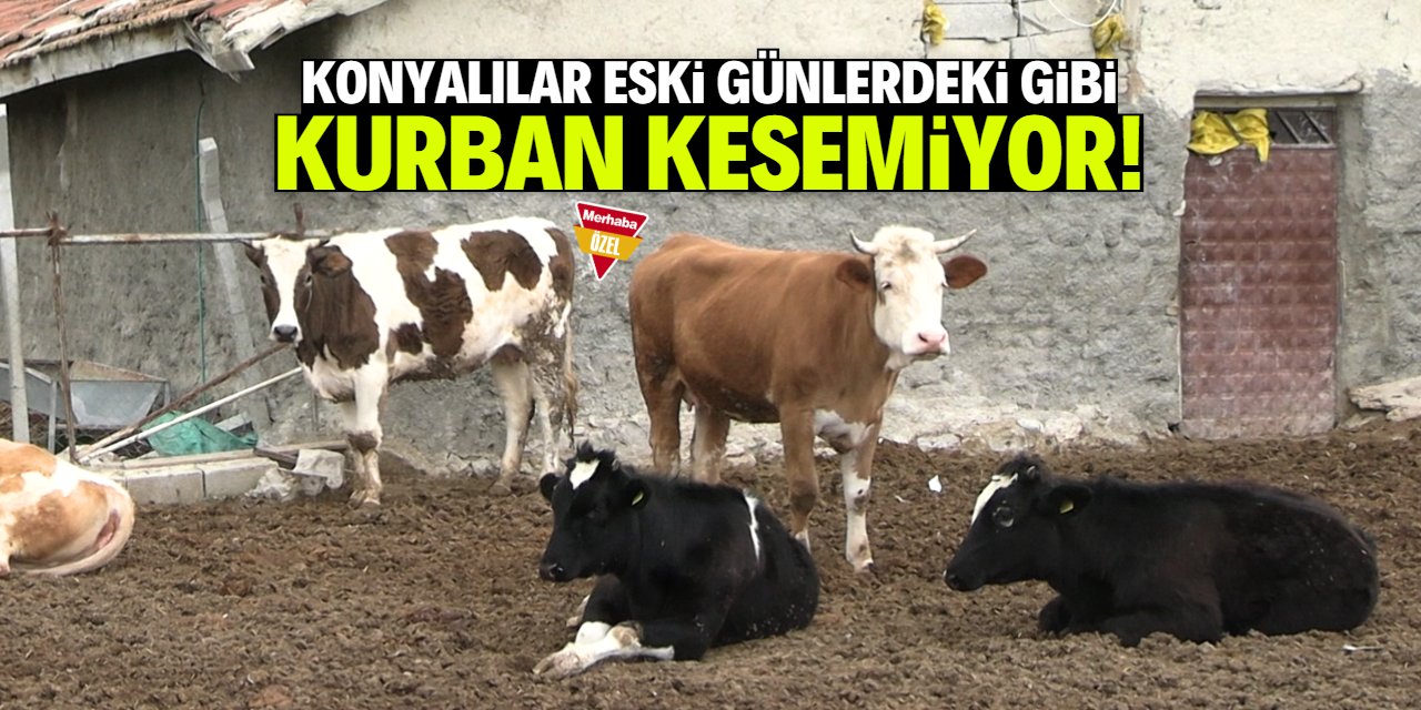 Konyalılar kurban kesemiyor!
