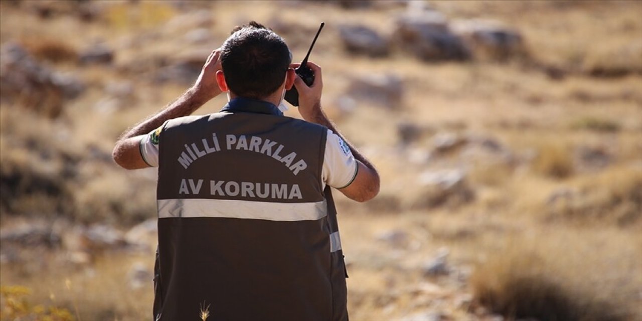 Doğa Koruma ve Milli Parklar uzmanlığında düzenleme