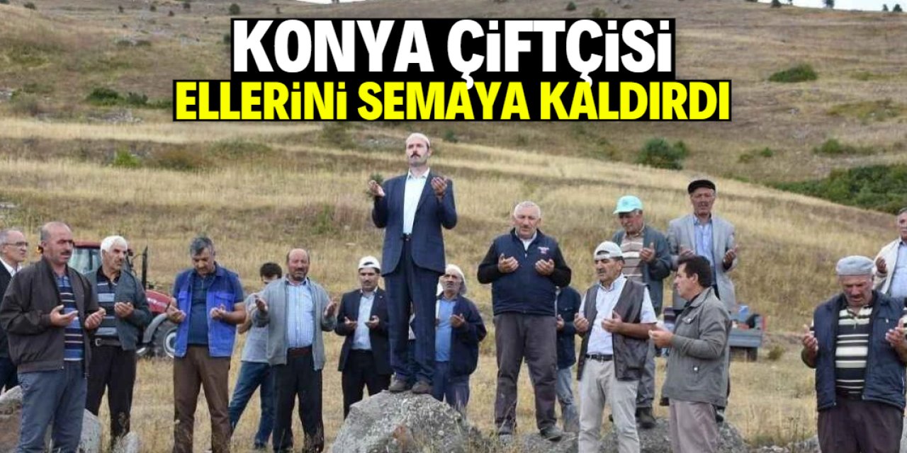 Konya çiftçisi ellerini semaya kaldırdı