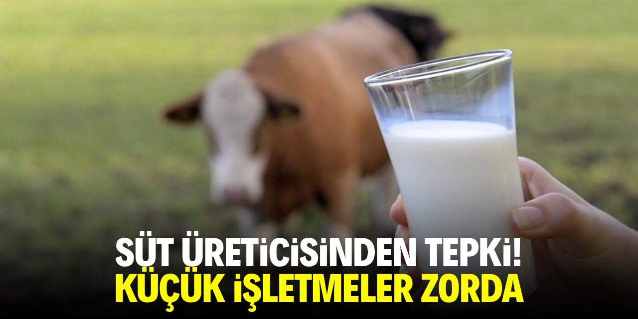 Süt üreticisinden tepki! Küçük işletmeler zorda