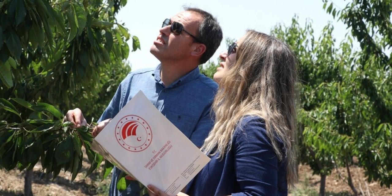 Komisyon zirai don taslak raporunu tamamladı