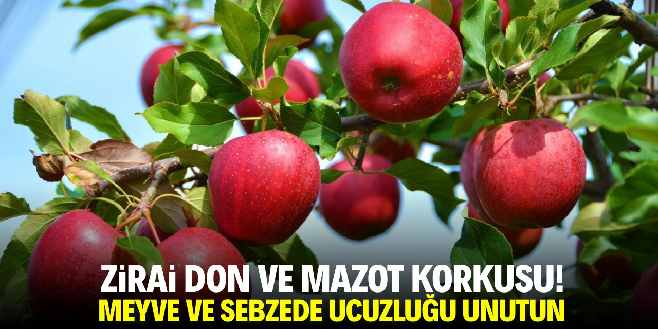 Zirai don ve mazot korkusu! Meyve ve sebzede ucuzluğu unutun