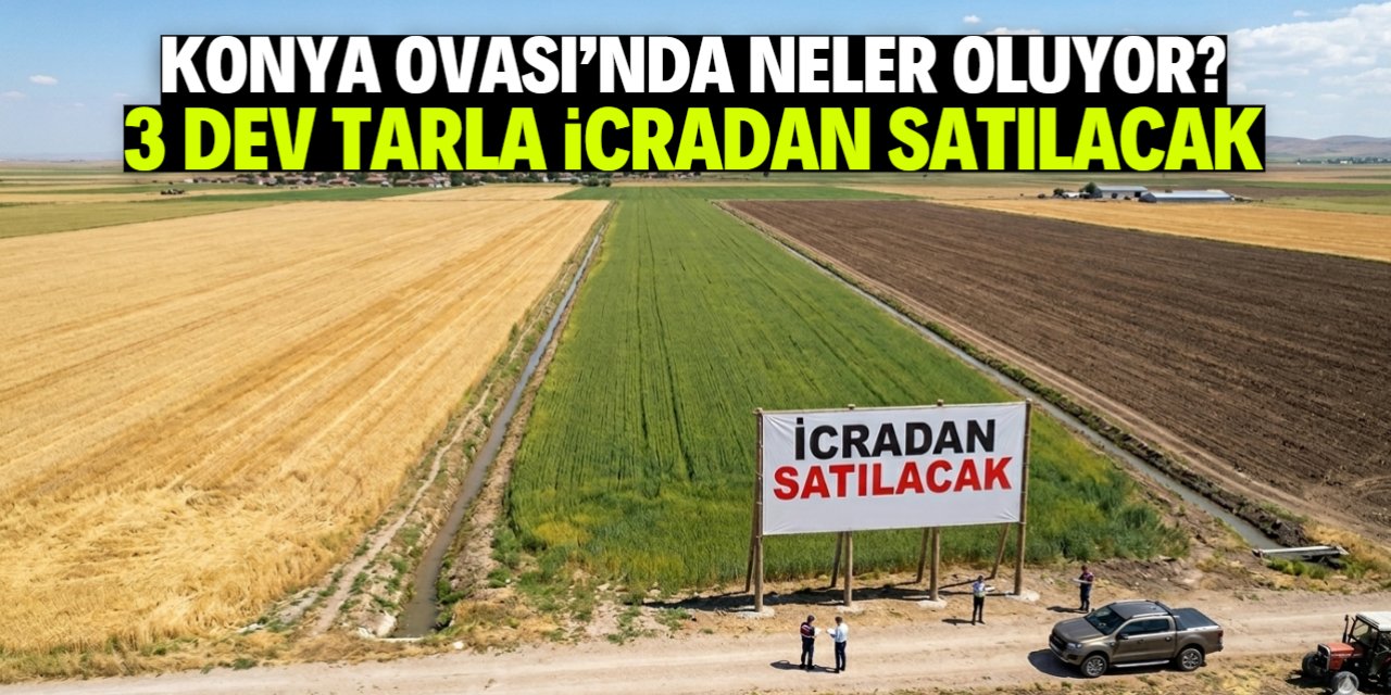 Konya Ovası'nda 3 dev tarla için kritik karar! İcradan satılacak