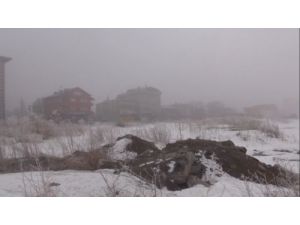 Ardahan'da Yoğun Sis Etkili Oluyor, Görüş Mesafesi 2 Metreye Düştü