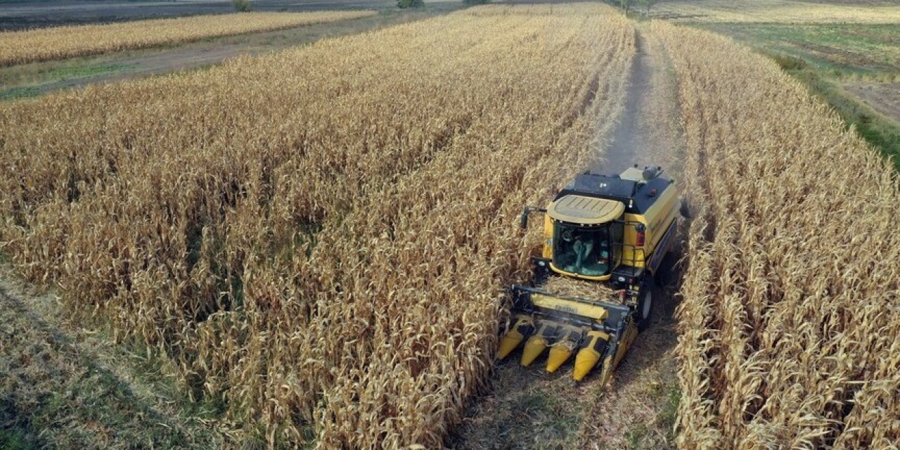 Hububat üretiminde gözler bahar yağışlarında
