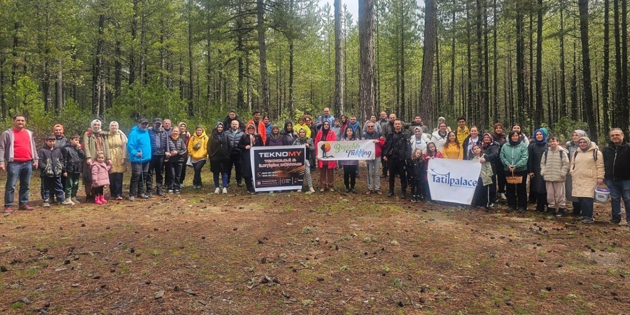 Doğaseverler kuzugöbeği mantarı topladı