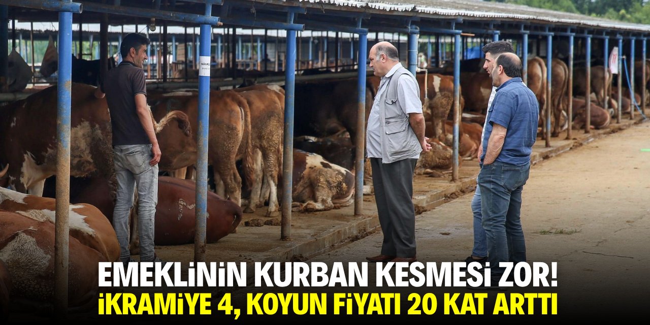 Emeklinin kurban kesmesi zor! İkramiye 4, koyun fiyatı 20 kat arttı