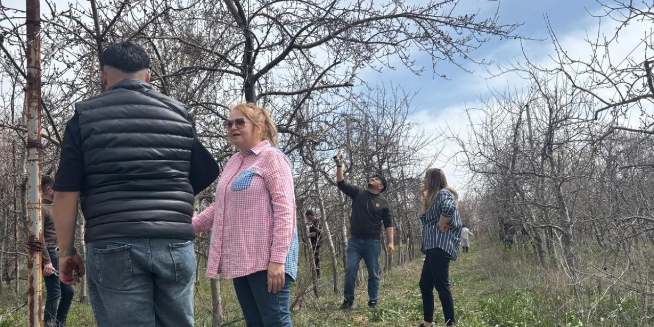 Selçuk'ta 'Fidan Yetiştiriciliği' programı açılacak
