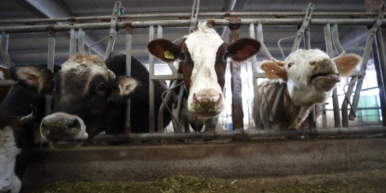 Çiftçilere tarımsal destekleme ödemesi başladı