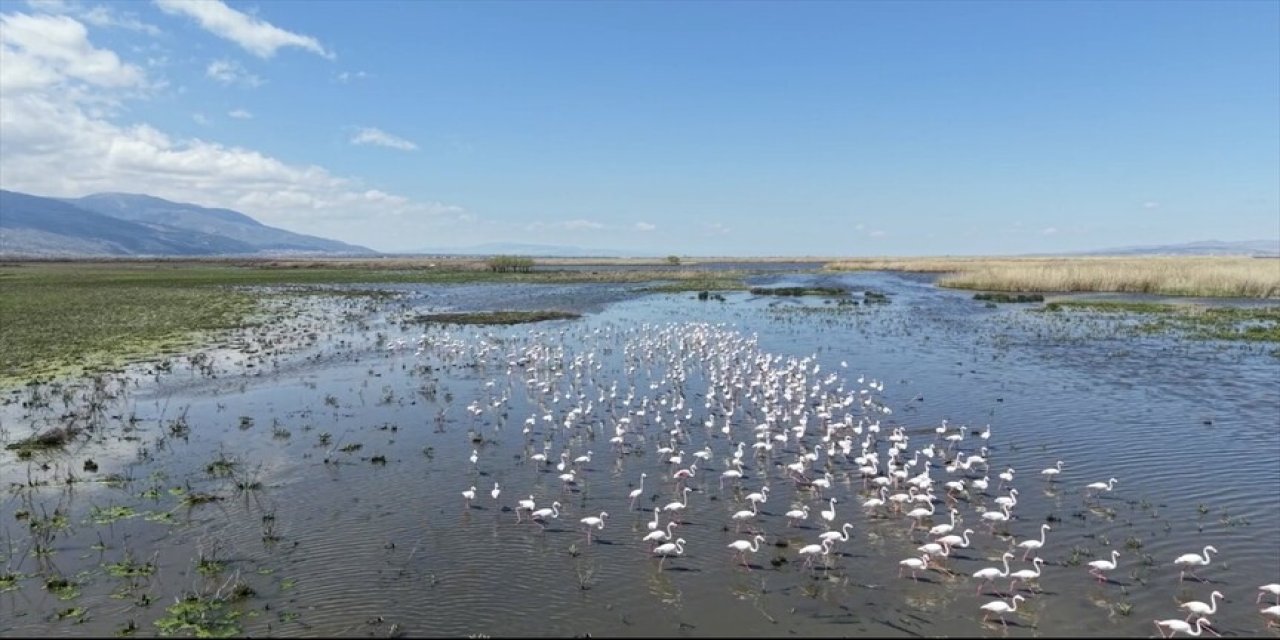 Eber Gölü'nde ölçüm yapıldı: Su derinliği belli oldu