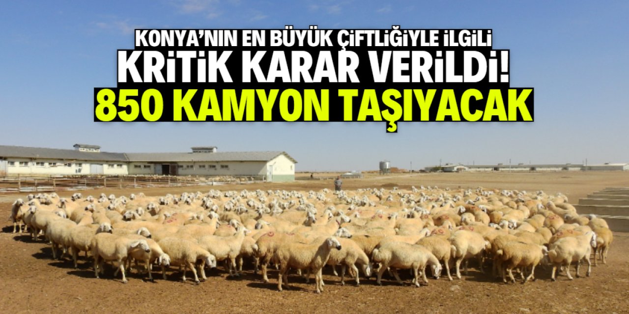 Konya'nın dev çiftliğiyle ilgili kritik karar! 850 kamyon taşıyacak