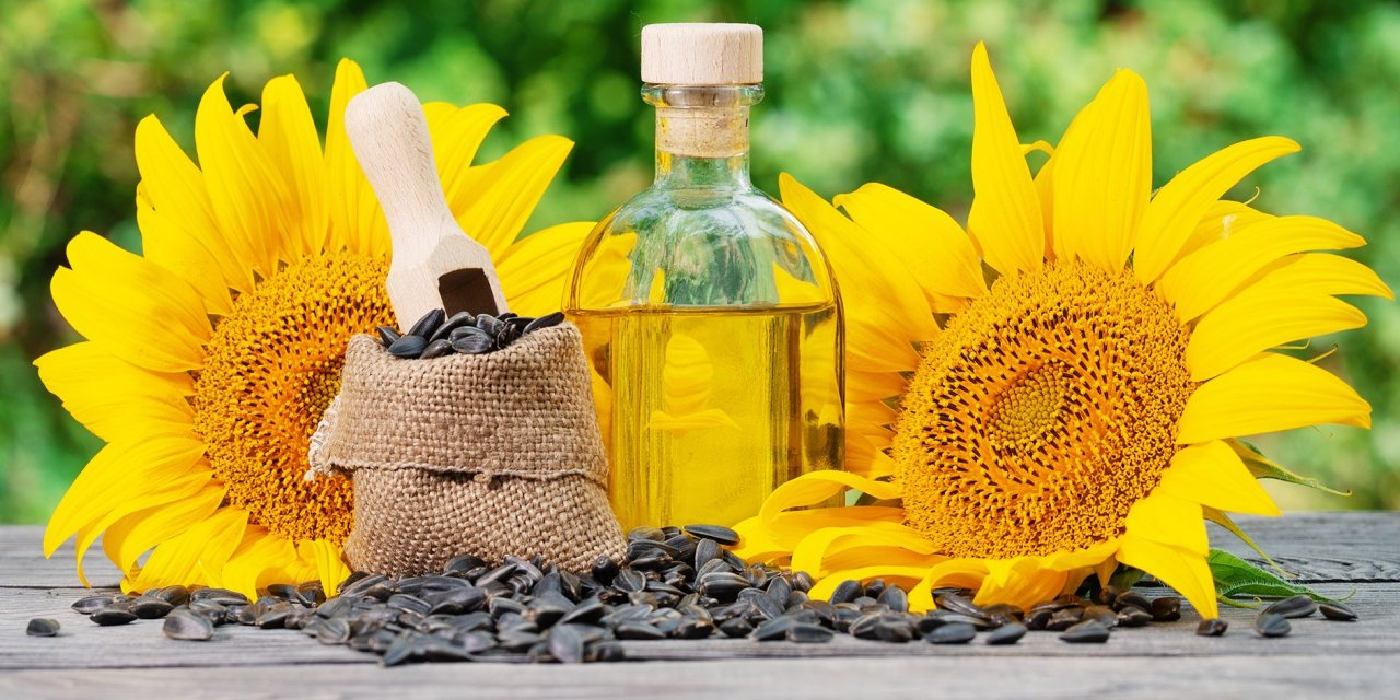 Ayçiçeği yağı ihracatı ilk çeyrekte arttı