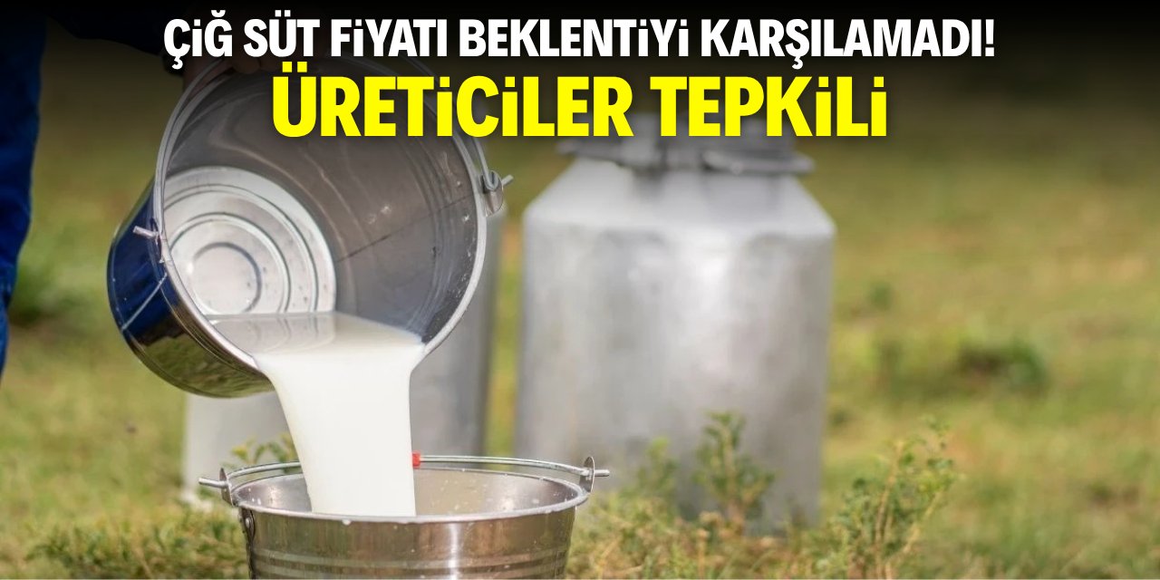 Çiğ süt fiyatı beklentiyi karşılamadı! Üretici tepkili