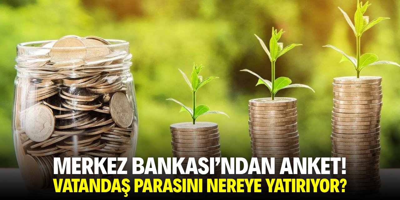 Merkez Bankası'ndan anket! Vatandaş parasını nereye yatırıyor