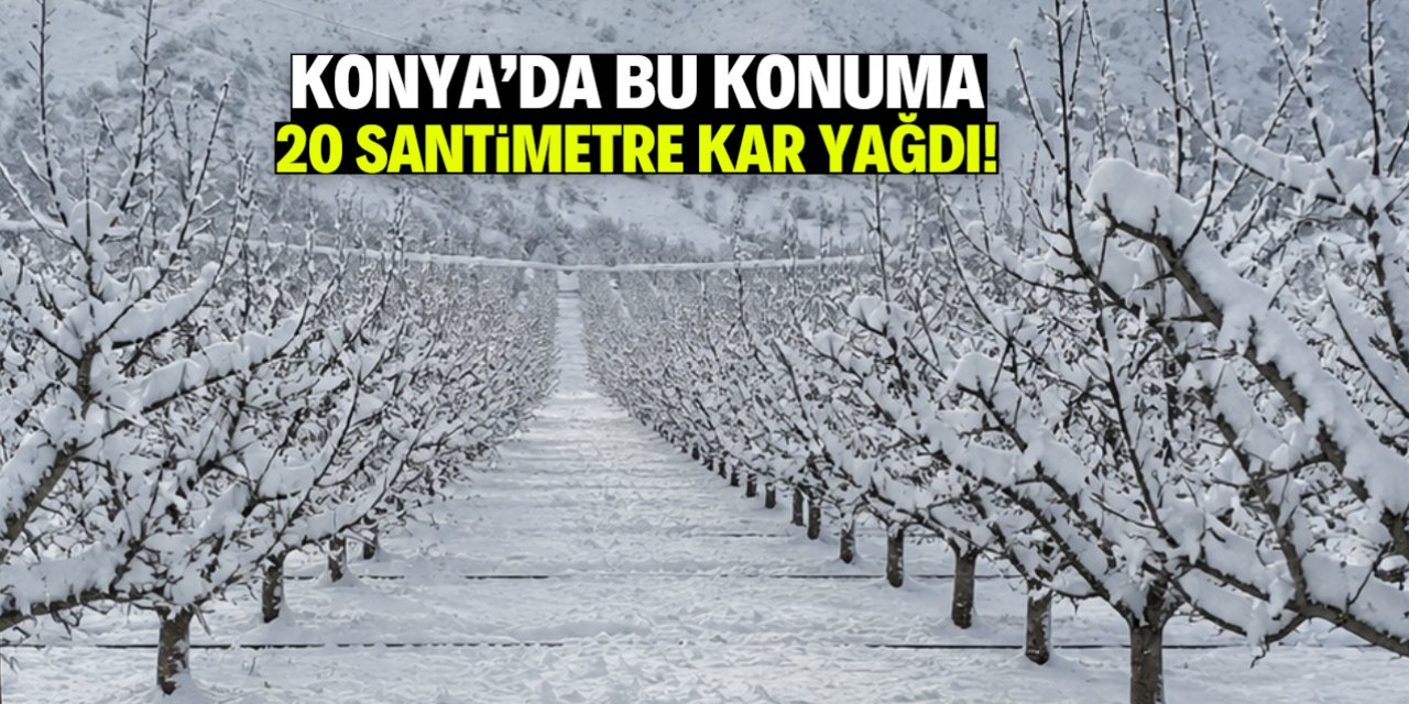 Konya'da bu konuma 20 santimetre kar yağdı: Meyve ağaçları bembeyaz oldu