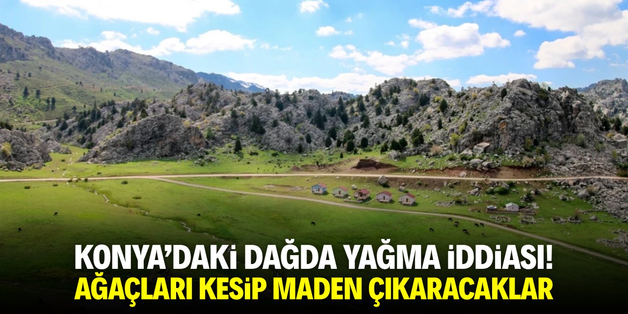Konya'daki dağda yağma iddiası! Ağaçları kesip maden çıkaracaklar