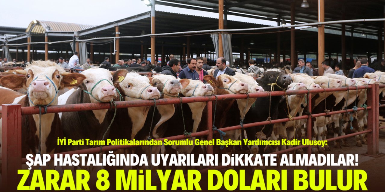 Kadir Ulusoy: Hayvan pazarlarının kapatılmaması daha pahalıya patladı!