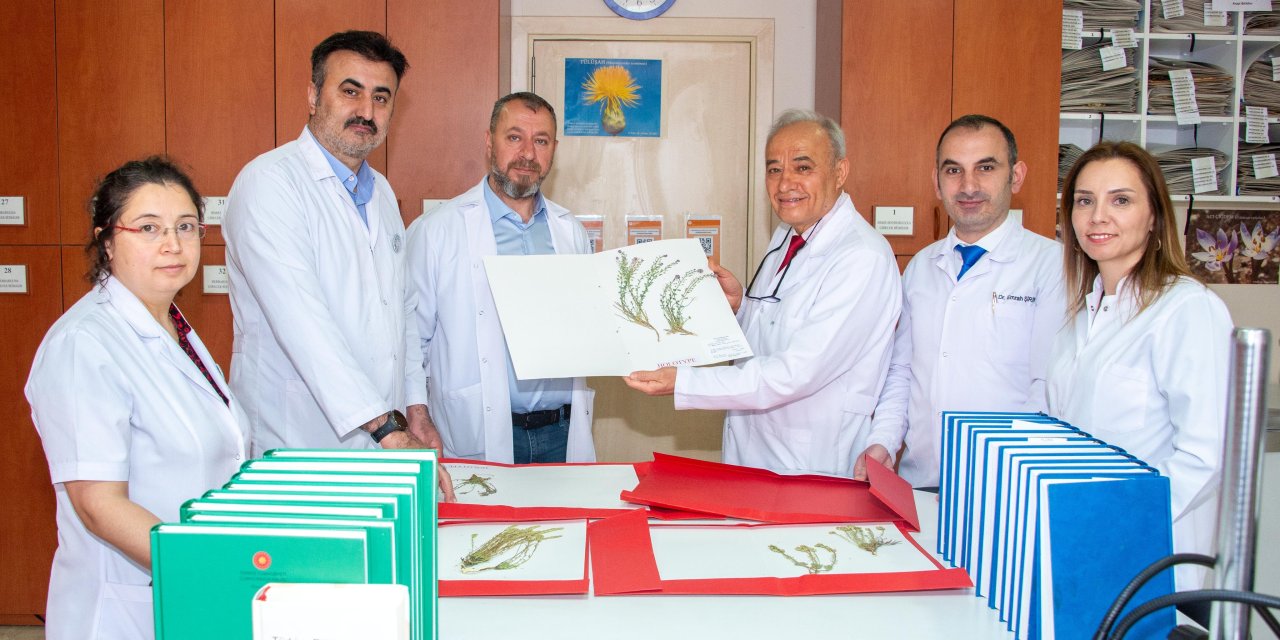 Selçuk akademisyenleri 4 yeni bitki türü keşfetti