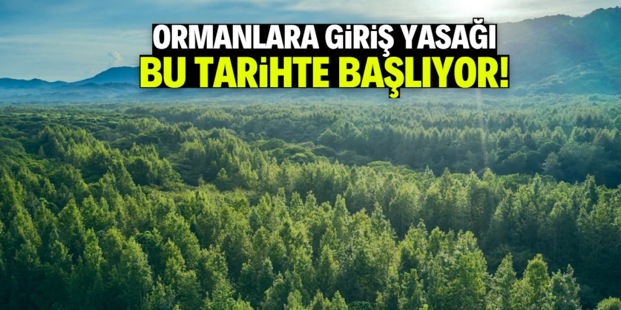 Ormanlara giriş yasağı bu tarihte başlıyor