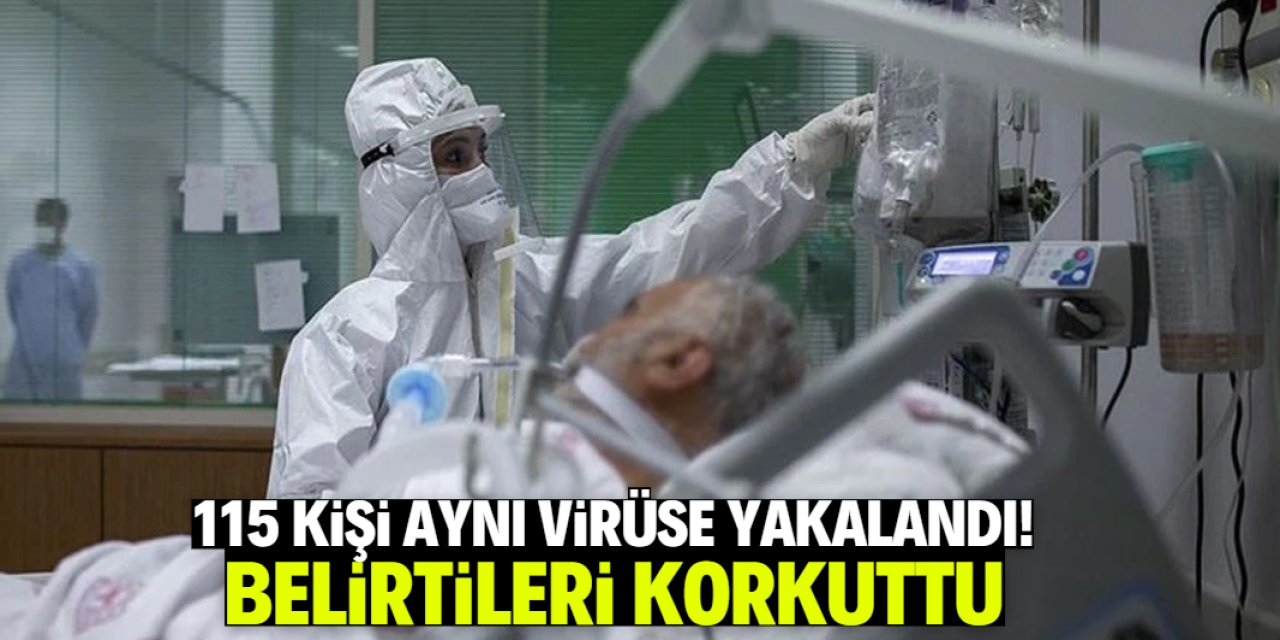 115 kişi aynı virüse yakalandı! 6 belirti varsa dikkat edin