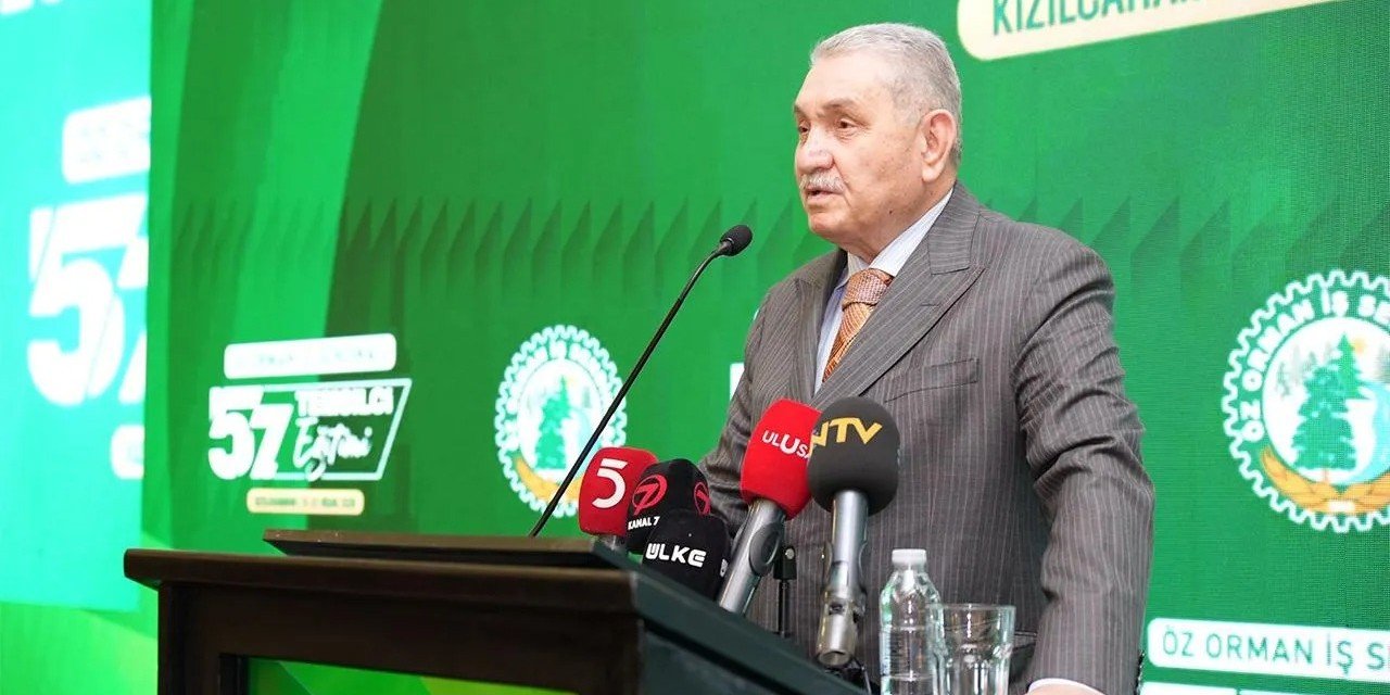 Havalar ısındı! Aslan'dan orman yangını uyarısı