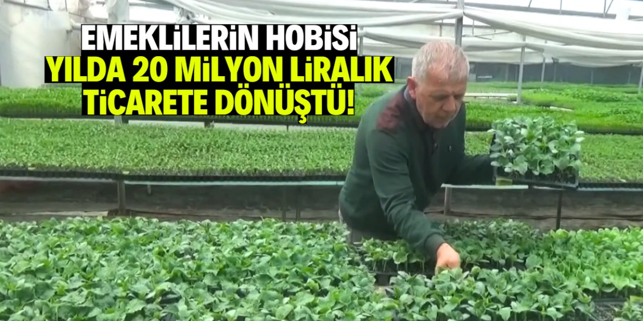İki emekli vakit geçirmek için bu işe girdi! Şimdi yılda 20 milyon liralık satış yapıyorlar