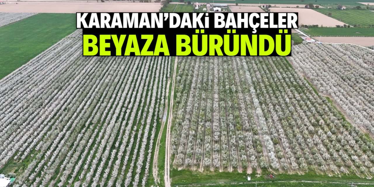Karaman'da bahçeler beyaza büründü