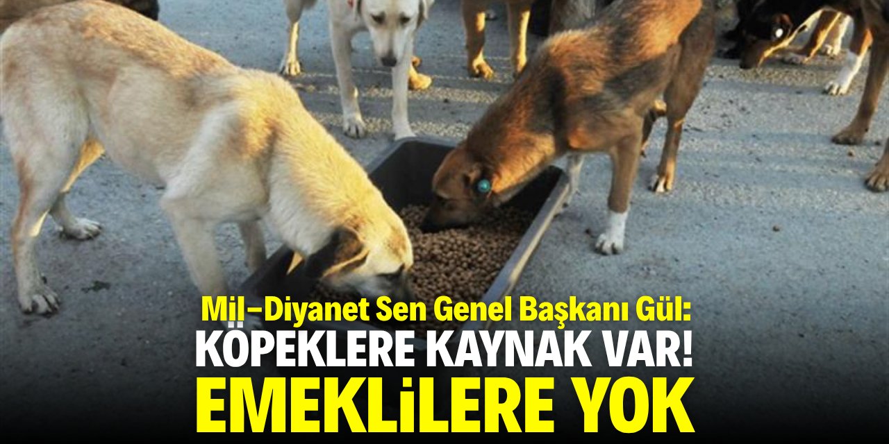 Gül: Köpeklere kaynak var, emeklilere yok