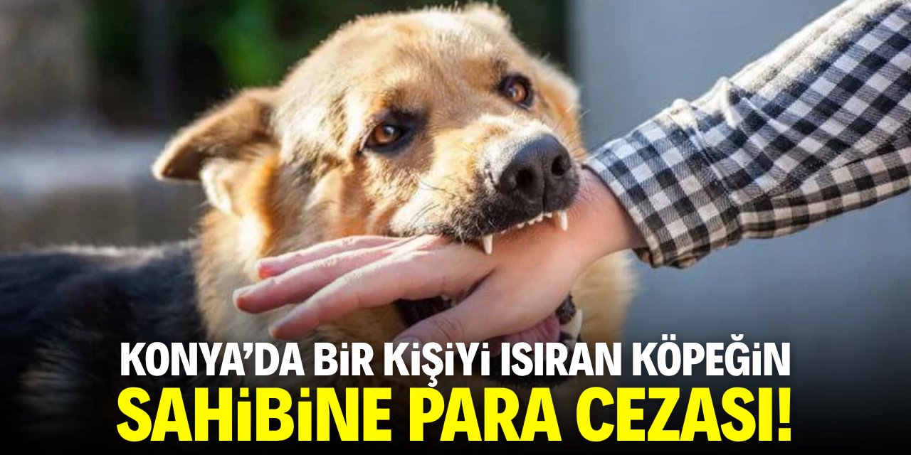 Konya'da bir kişiyi ısıran köpeğin sahibine para cezası verildi