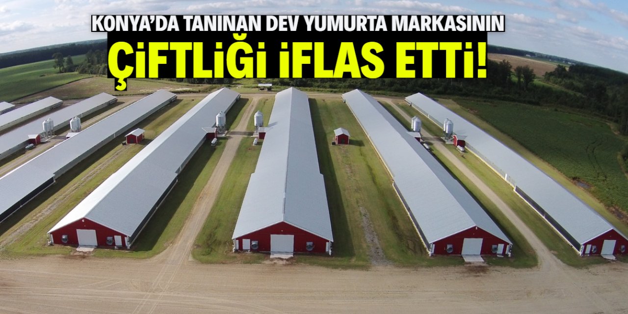 Konya marketlerinde satılan yumurta markası iflas etti!