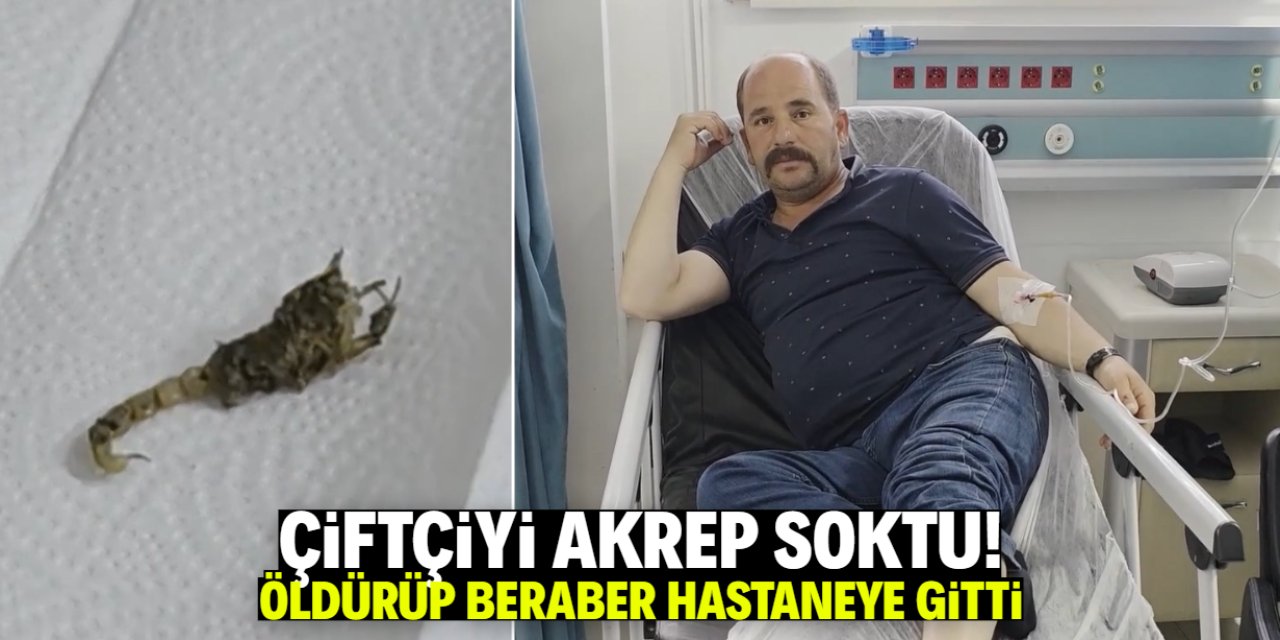 Çiftçiyi tarlada akrep soktu! Hastaneye kaldırıldı