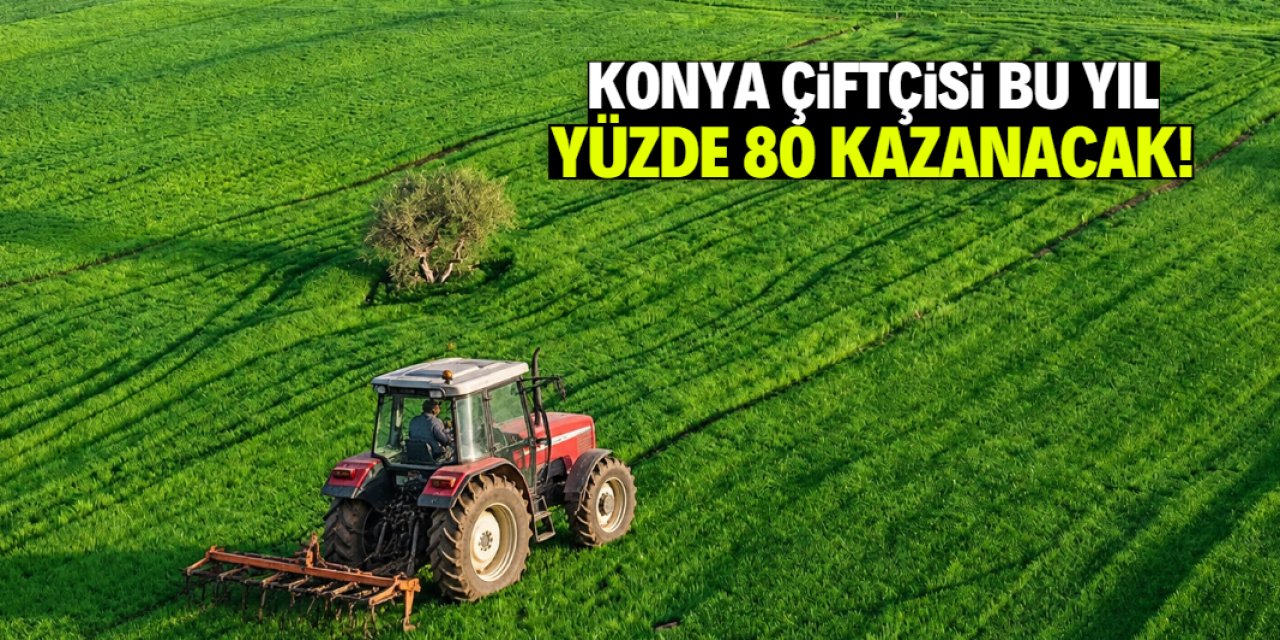 Konya çiftçisi bu yıl yüzde 80 kazanacak! İşte çok konuşulacak o hesap