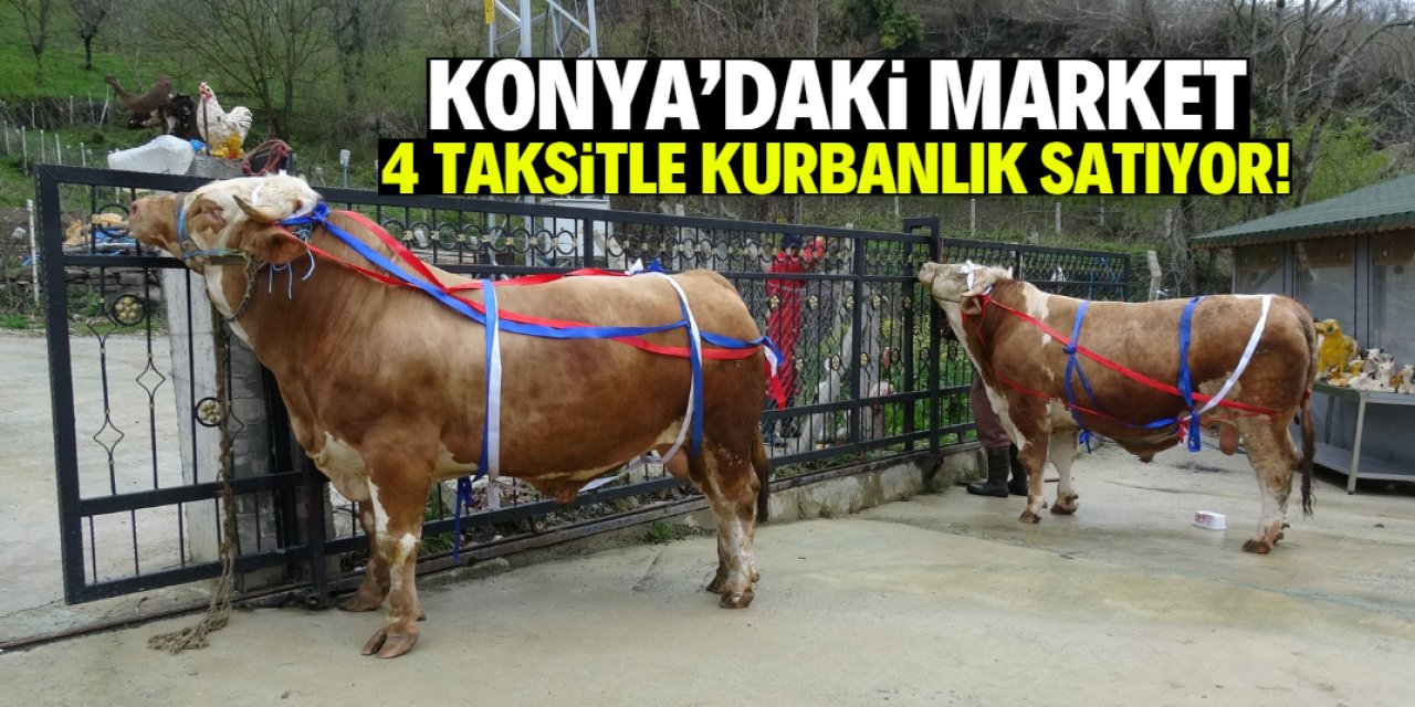 Konya'da bu market peşin fiyatına 4 taksitle kurbanlık satıyor