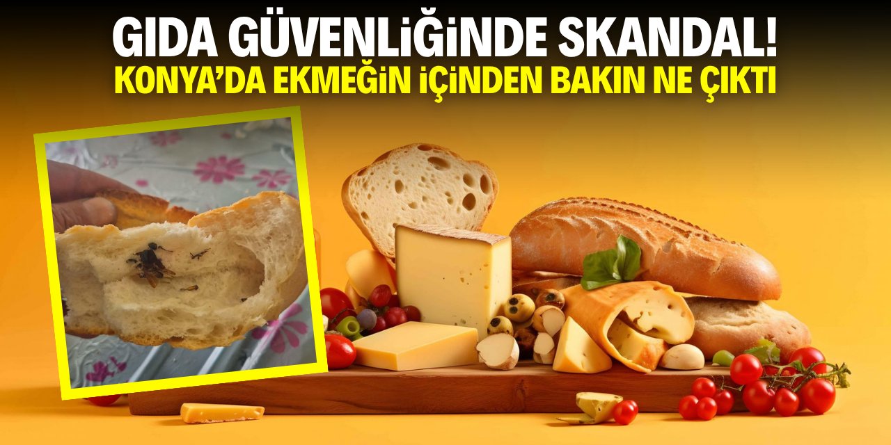 Gıda güvenliğinde skandal! Konya'da ekmeğin içinden bakın ne çıktı