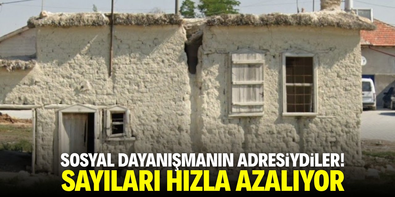Sosyal dayanışmanın adresiydiler! Sayıları hızla azalıyor