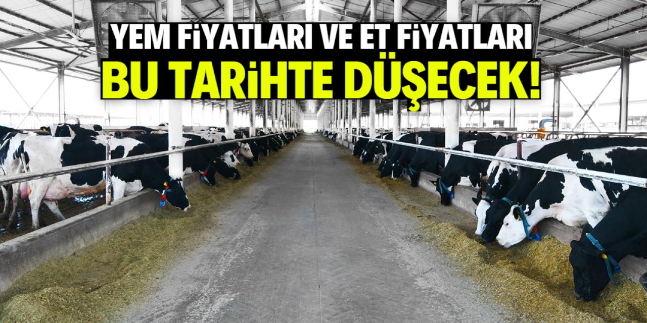 Yem fiyatları ve et fiyatları bu tarihte düşecek! İşte o hesap