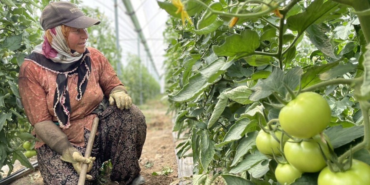 Sebze-meyve üretiminde lider şehir belli oldu