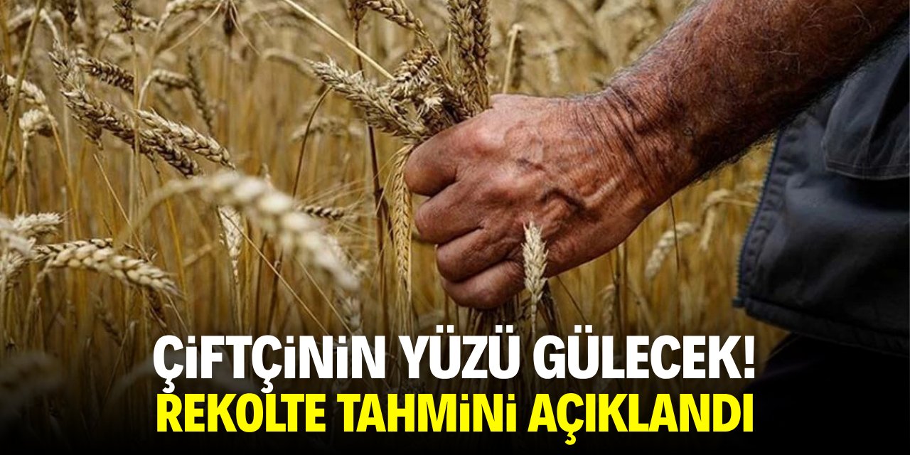 Çifçinin yüzü gülecek! Rekolte tahmini açıklandı