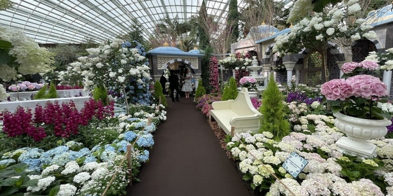 Singapur'da "Blue Beauties" sergisi açıldı