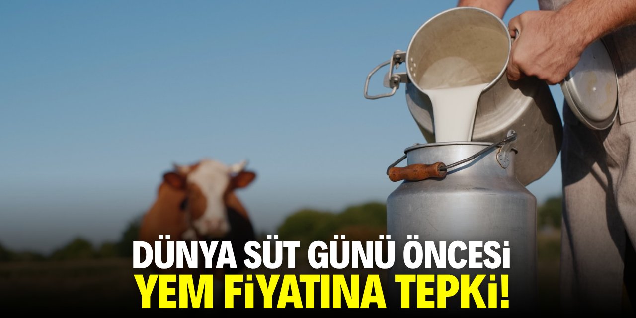Dünya Süt Günü öncesi yem fiyatına tepki