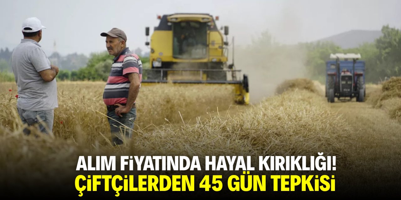 Alım fiyatında hayal kırıklığı! Çiftçilerden 45 gün tepkisi